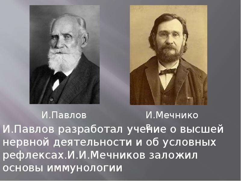 Учение разработал. Мечников разработал основы иммунологии. Павлов и Мечников. Сеченов Павлов Мечников. Сеченов Павлов Мечников начала 20 века.