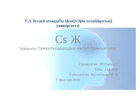 Тамақтандырудың негізгі принциптері