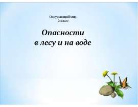 Окружающий мир. 2 класс. Опасности в лесу и на воде