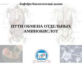 Пути обмена отдельных аминокислот