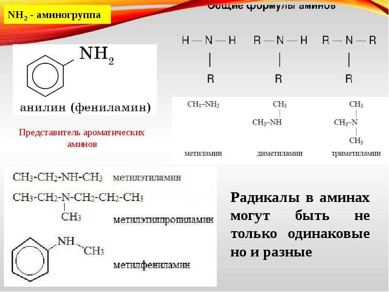 Азотсодержащие соединения амины. Азотсодержащие органические соединения Амины. Азотсодержащие органические вещества таблица.