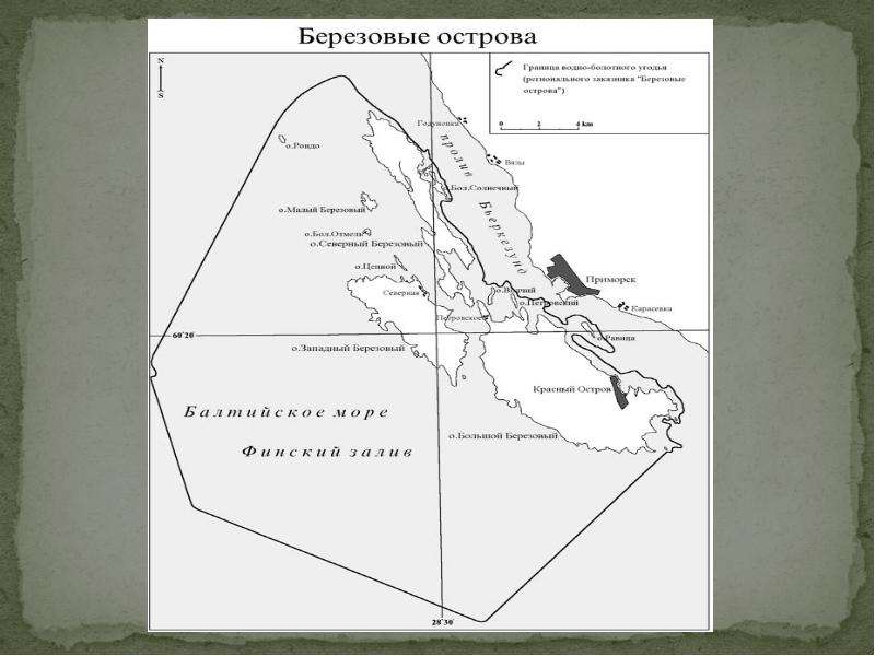 Остров западный березовый в финском заливе