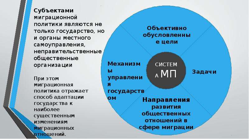 Проект миграционная политика