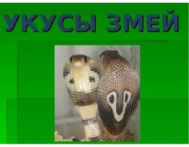 Укусы змей