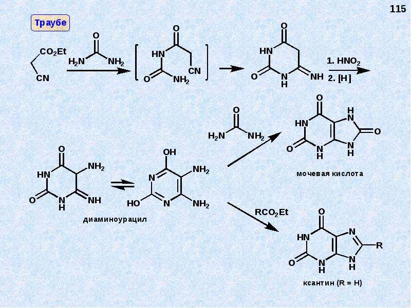 Мочевина и мочевая кислота. Синтез теофиллина из ксантина. Реакция конденсации 5,6-диаминоурацила. Синтез мочевой кислоты по Траубе. Получение ксантина из мочевой кислоты.